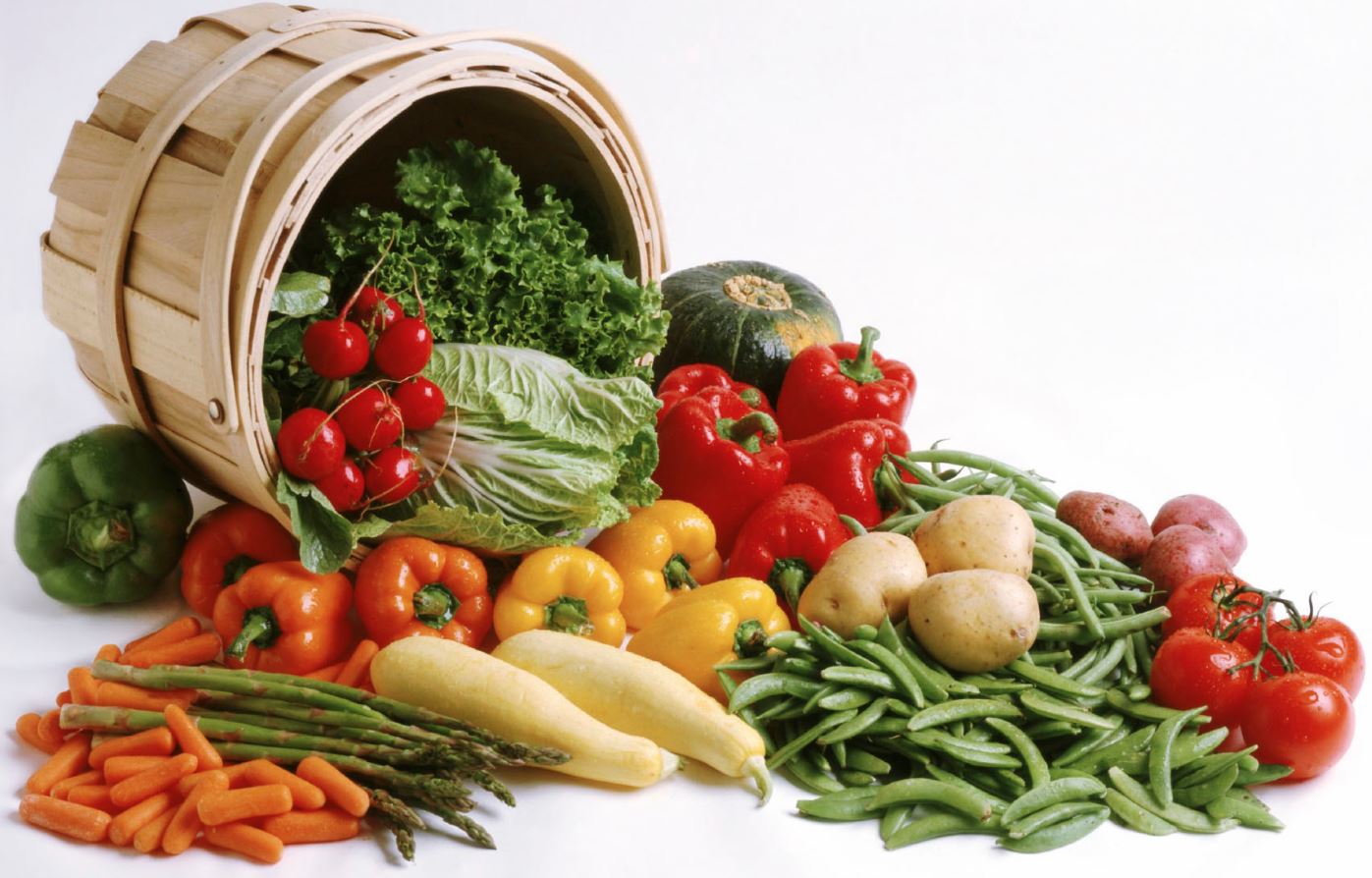 Designing resilient nourishment that honors soil, water, climate, and community